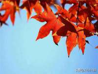 宿豫区秋木村世百货店