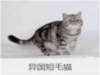 宿豫区秋木村世百货店