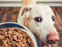 宿豫区秋木村世百货店