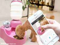 宿豫区秋木村世百货店