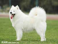 宿豫区秋木村世百货店