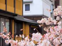 宿豫区秋木村世百货店